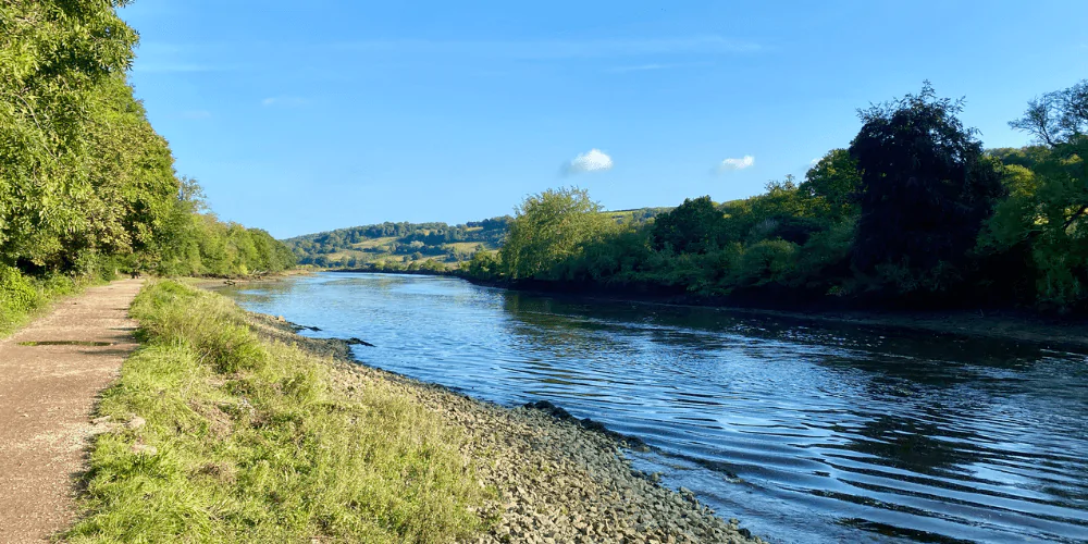 A picture of the River Dart, ideal for dog walking