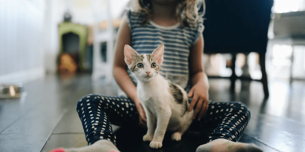 A picture of a kitten sitting in the lap of a young girl