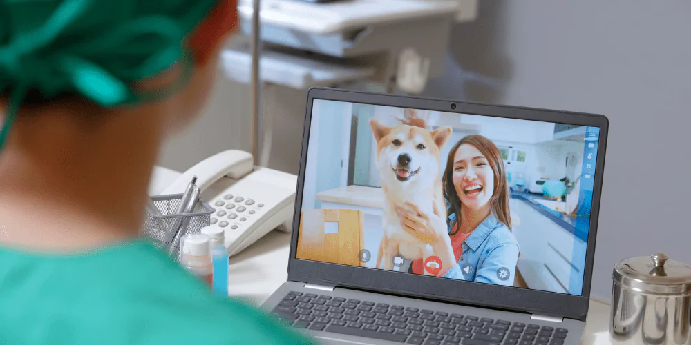 A picture of a woman and her dog on a video call with a vet